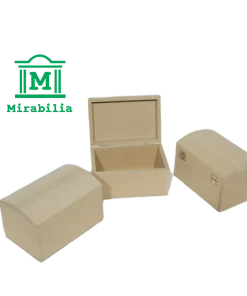 BAUL MEDIANO 12X8X8